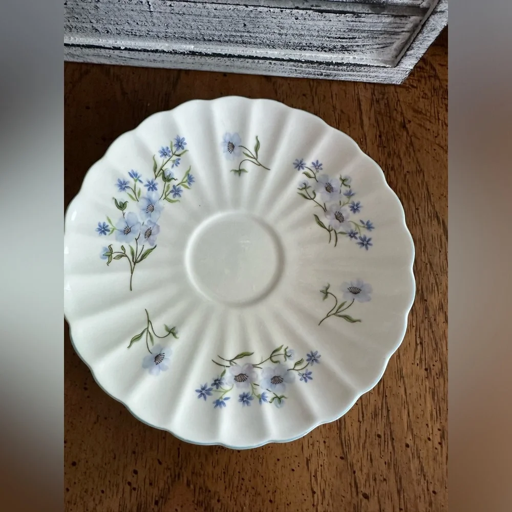 Vintage Rare Shelley English Bone China tea cup and saucer Excellent condition